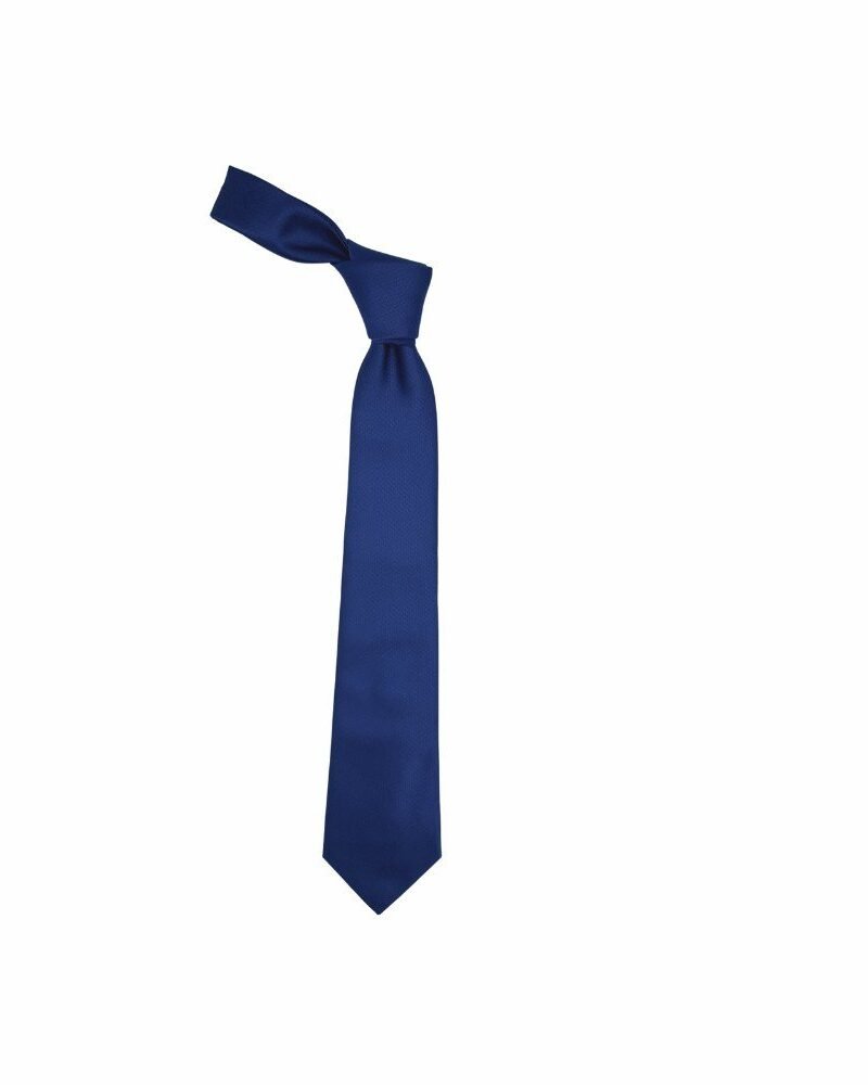 Gravata azul royal lisa larga compacta em fundo branco